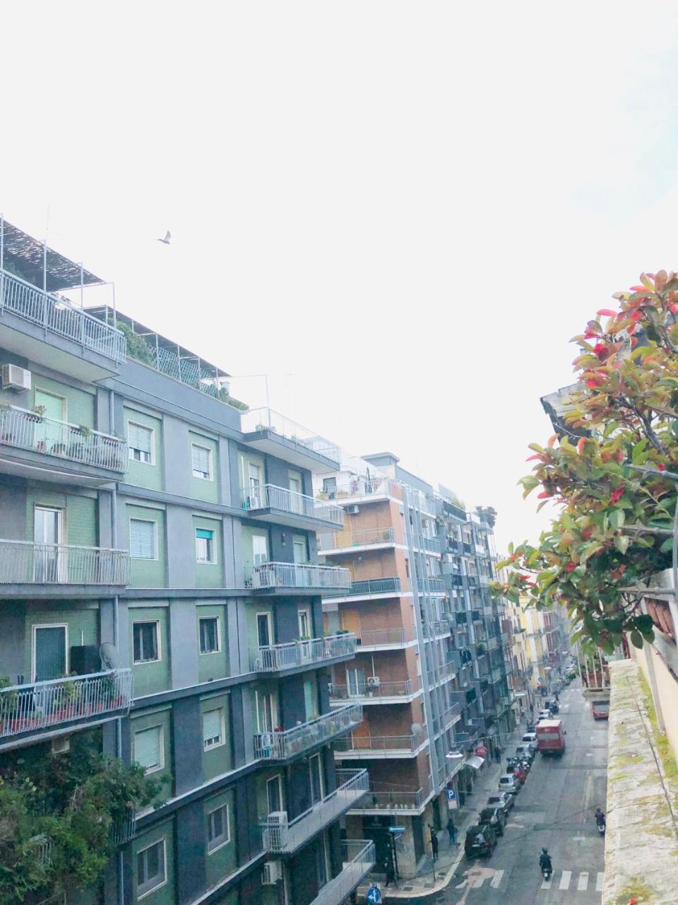 Baricityhouse 외부 사진
