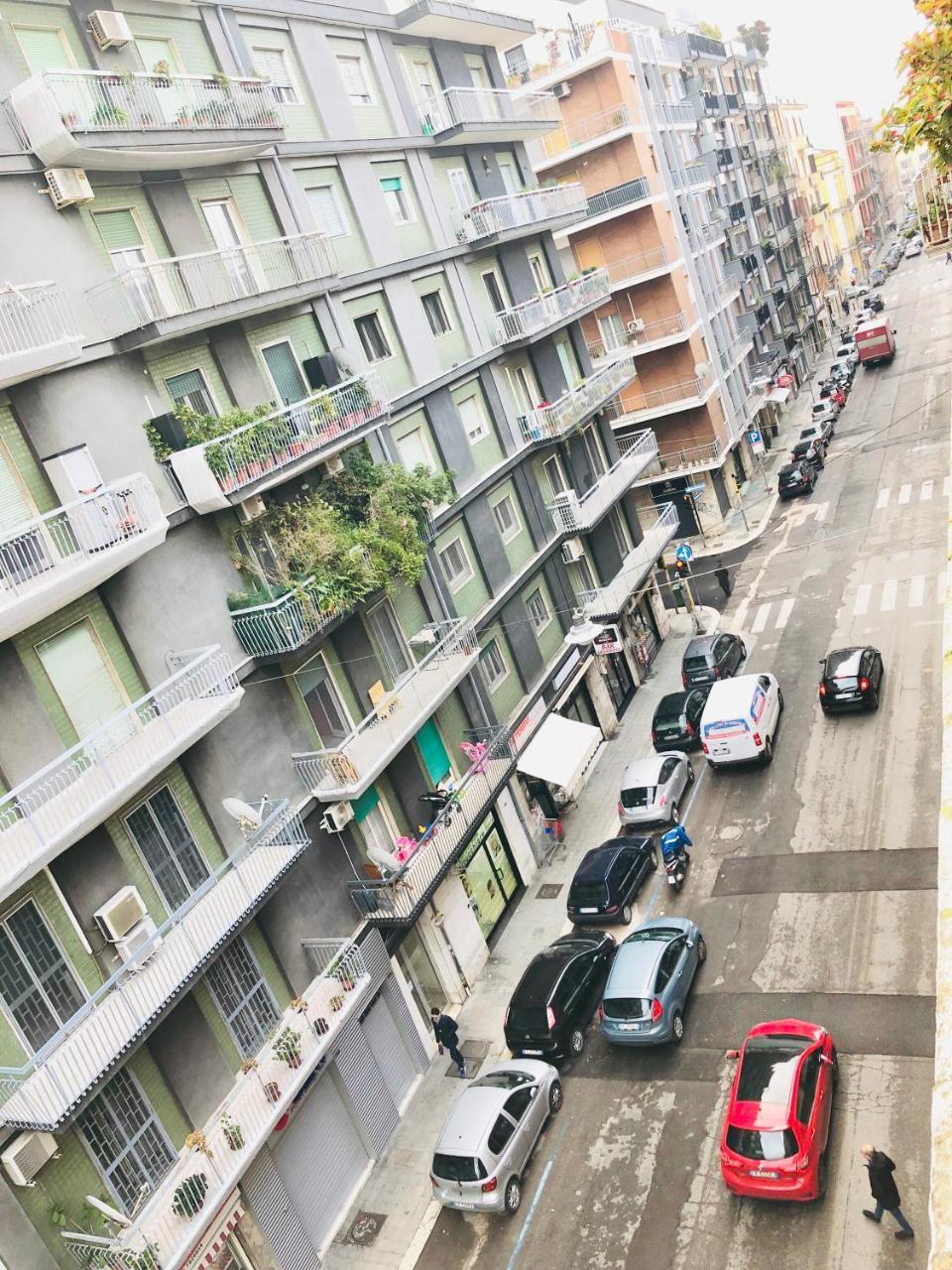 Baricityhouse 외부 사진